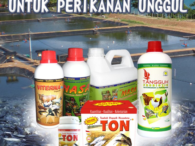 PANDUAN BUDIDAYA TERNAK LELE MENGGUNAKAN PRODUK NASA