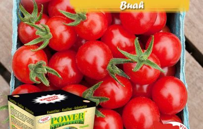 Panen Buah Melimpah Dengan Pupuk Buah Power Nutrition Nasa