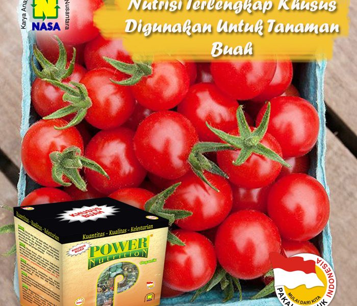 Panen Buah Melimpah Dengan Pupuk Buah Power Nutrition Nasa