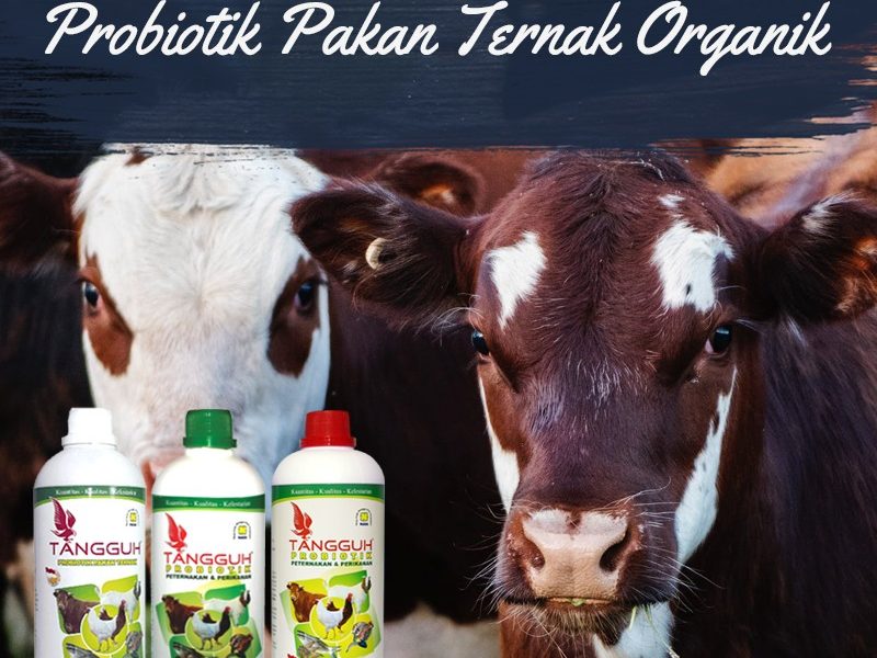 Produk NASA TANGGUH Probiotik Meningkatkan Hasil Budidaya Ternak